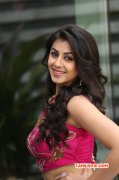 Nikki Galrani Heroine Recent Wallpapers 8043