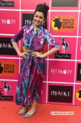 Nikki Galrani Indian Actress 2016 Gallery 3656