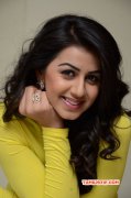 Nikki Galrani Indian Actress New Wallpapers 3007