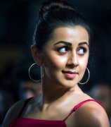 Nikki Galrani Movie Actress Latest Image 4021