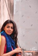 Nikki Galrani New Wallpapers 9026