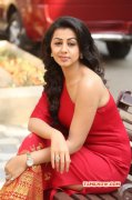 Nikki Galrani Recent Pic 570