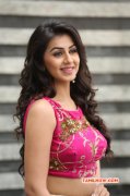 Nikki Galrani South Actress 2016 Image 1983