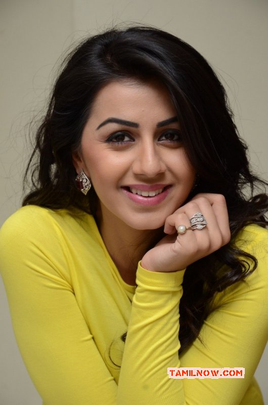 Nikki Galrani South Actress Feb 2016 Album 6249