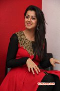 Nikki Galrani Tamil Heroine Latest Pic 3764