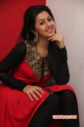 Photos Nikki Galrani Film Actress 3714