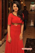 Recent Gallery Film Actress Nikki Galrani 3422