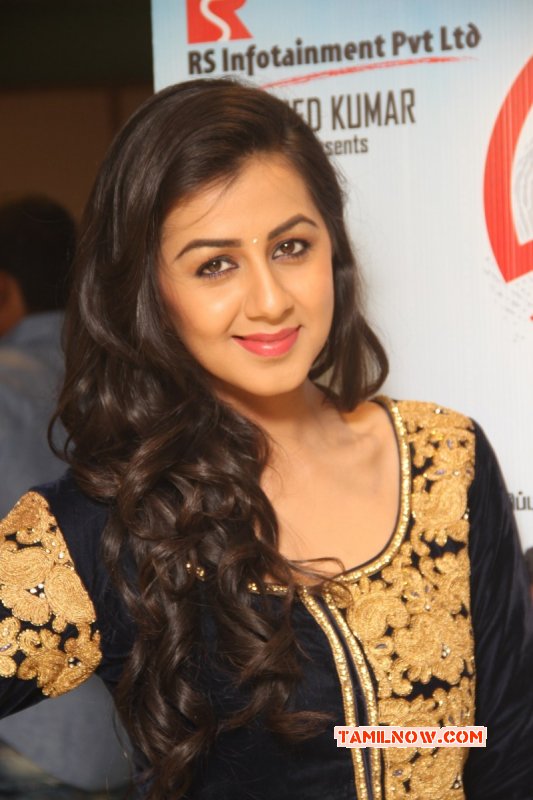 Recent Photo Tamil Movie Actress Nikki Galrani 3724