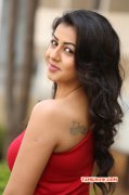 Recent Photos Nikki Galrani 3500