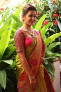 Recent Photos Nikki Galrani Movie Actress 4925