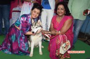 Recent Pics Nikki Galrani Tamil Actress 2892