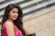 Recent Wallpaper Nikki Galrani South Actress 990