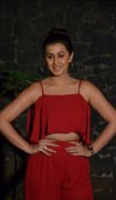 South Actress Nikki Galrani Latest Wallpapers 3861