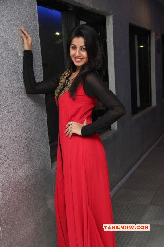 South Actress Nikki Galrani Photos 3068