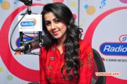 Tamil Actress Nikki Galrani Wallpaper 6251