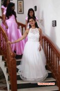 Tamil Heroine Nikki Galrani Latest Albums 5206