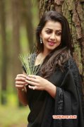 Wallpaper Nikki Galrani Tamil Actress 9090