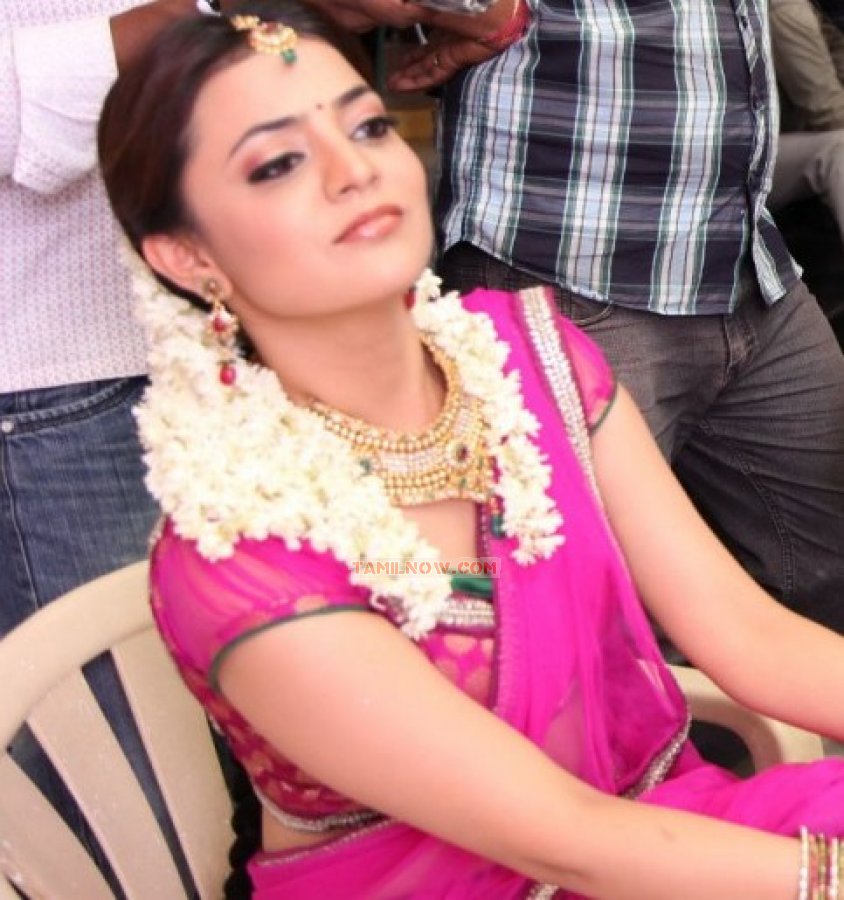 Nisha Agarwal Stills 9484