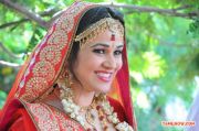 Actress Nisha Kothari Stills 5973