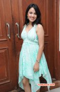 Indian Actress Nisha Kothari Recent Photo 8202