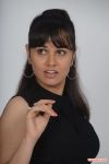 Nisha Kothari 8629