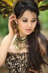 Nisha Kothari Photos 9989