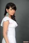 Tamil Actress Nisha Kothari 8102