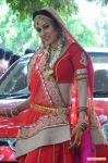 Tamil Actress Nisha Kothari Photos 3487