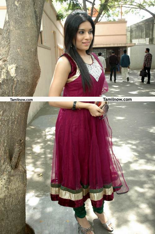 Nisha Shetty Photo 8