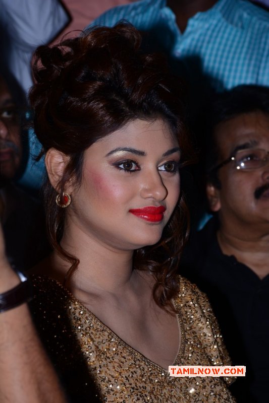 Oviya South Actress Images 4574