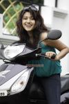 Tamil Actress Oviya 2247