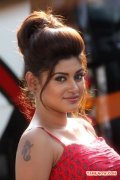 Tamil Actress Oviya Photos 8794