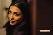 Actress Parvathy Nair Stills 3363