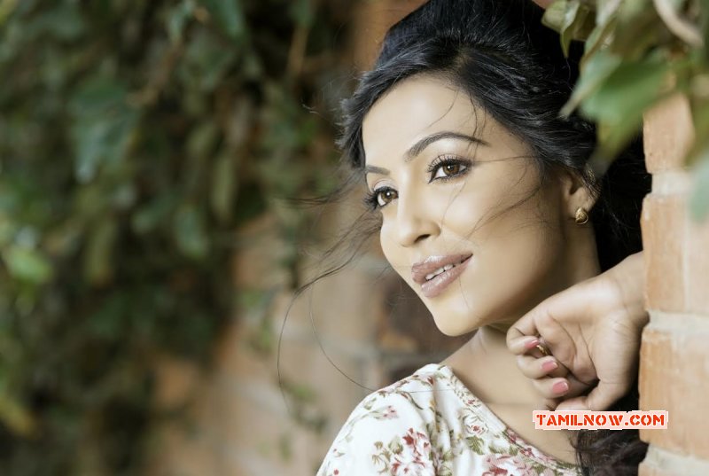 Recent Photo Tamil Heroine Parvathy Nair 2068