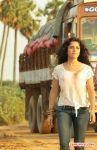 Actress Piaa Bajpai 2560