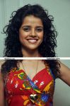 Piaa Bajpai Photo4