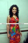 Piaa Bajpai Photo5