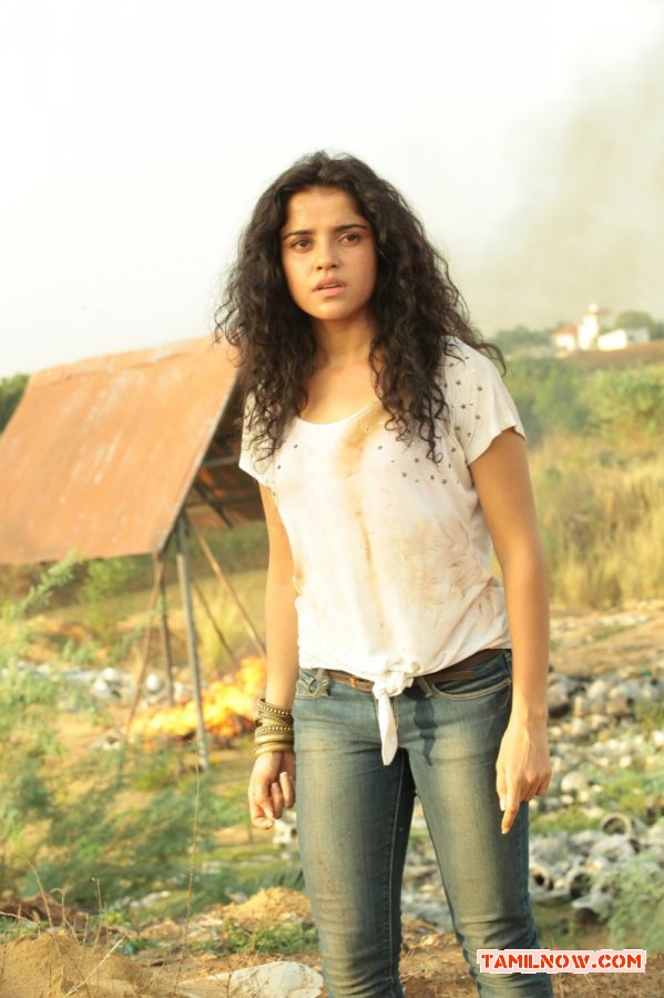 Piaa Bajpai Stills 8640