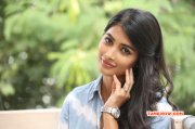 2014 Galleries Pooja Hegde South Actress 5043