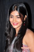 2014 Galleries Pooja Hegde Tamil Heroine 918