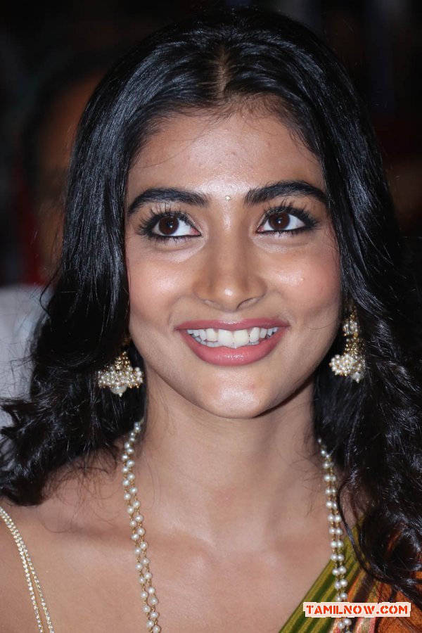 Actress Pooja Hegde Photos 8245