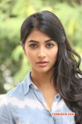 Cinema Actress Pooja Hegde Image 5775