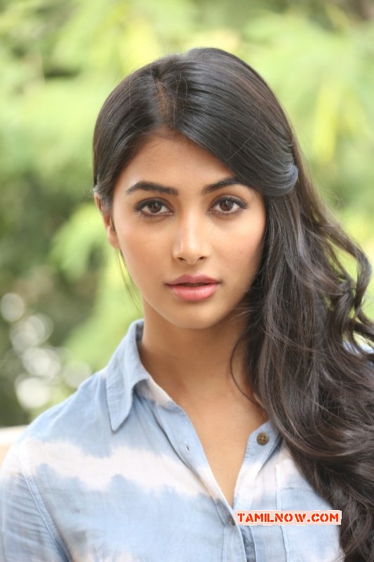 Cinema Actress Pooja Hegde Image 5775