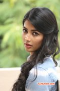 Cinema Actress Pooja Hegde Images 9963