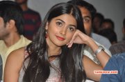 Heroine Pooja Hegde Oct 2014 Stills 4537