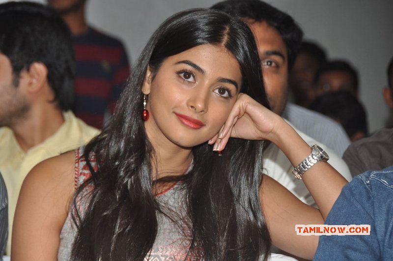 Heroine Pooja Hegde Oct 2014 Stills 4537