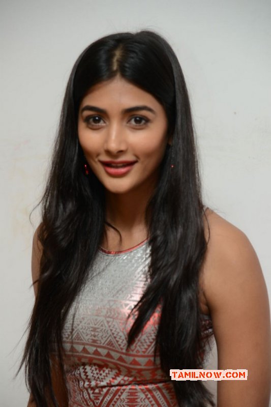 New Album Pooja Hegde Tamil Actress 3003