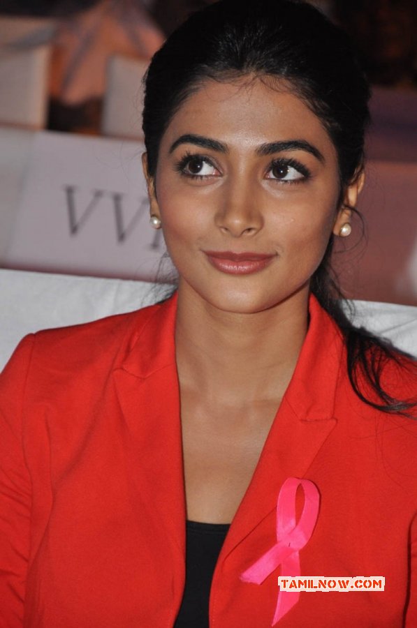 New Still Heroine Pooja Hegde 5278