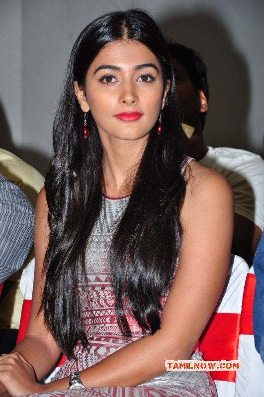 Pooja Hegde 2014 Gallery 4980