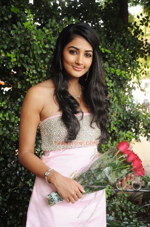 Pooja Hegde 316